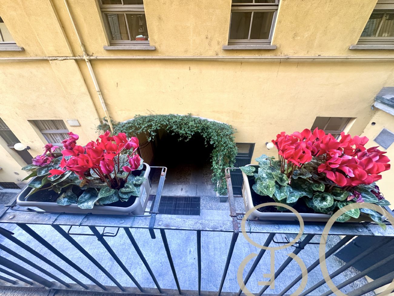 AMPIO BILOCALE GORIZIA