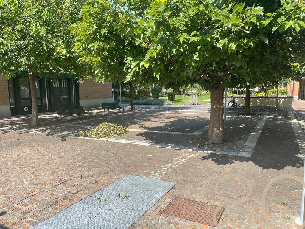 AMPIO BILOCALE NAVIGLI